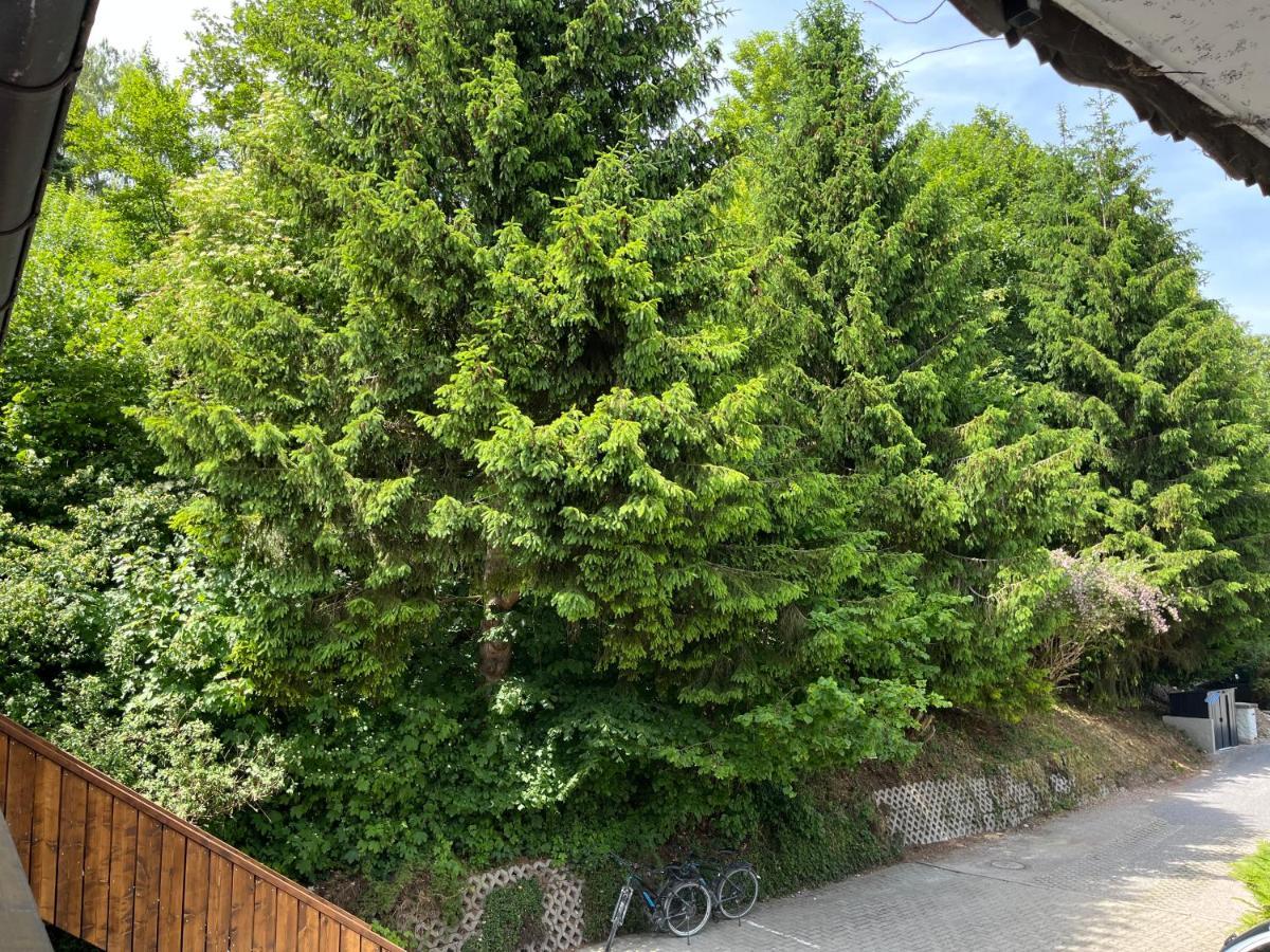 Gaestehaus Forggensee Fussen Exterior foto